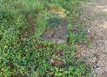 Giardino - Terreno edificabile Contrada Mazzone
snc, Caltagirone - foto 28