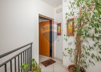 Hall / corridoio - Appartamento Via Francesco Spadaro
 
5, Caltagirone - foto 31