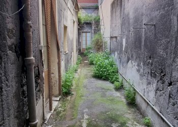 Giardino - Casa indipendente Via Baratta
 
178/180, Paterno - foto 4