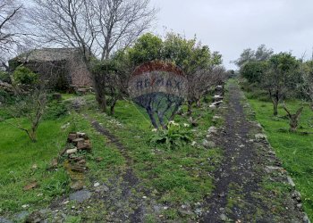 Giardino - Terreno agricolo VIA DELLE VIGNE
 
SNC, Tremestieri Etneo - foto 3