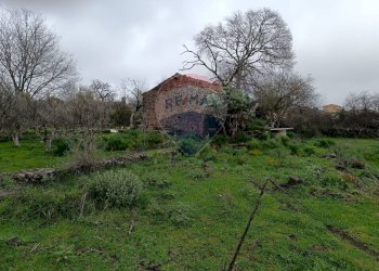 Giardino - Terreno agricolo VIA DELLE VIGNE
 
SNC, Tremestieri Etneo - foto 5