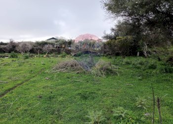 Giardino - Terreno agricolo VIA DELLE VIGNE
 
SNC, Tremestieri Etneo - foto 7