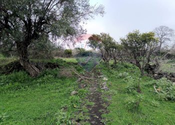Giardino - Terreno agricolo VIA DELLE VIGNE
 
SNC, Tremestieri Etneo - foto 8