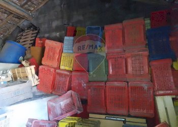 Dispensa di stoccaggio - Terreno agricolo via trieste
 
253, Santa Venerina - foto 4