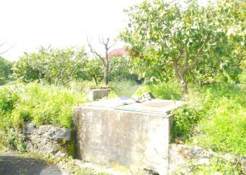 Giardino - Terreno agricolo via trieste
 
253, Santa Venerina - foto 8