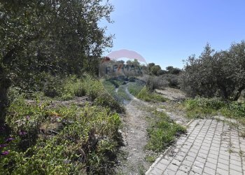 Giardino - Villa sp48
 
snc, Caltagirone - foto 37