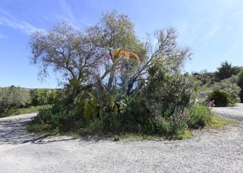 Giardino - Villa sp48
 
snc, Caltagirone - foto 44