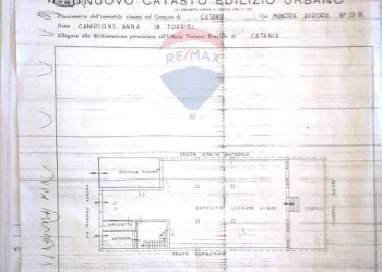 Pianta 2D - Locale Commerciale Via Mandrà
 
13/B, Catania - foto 23