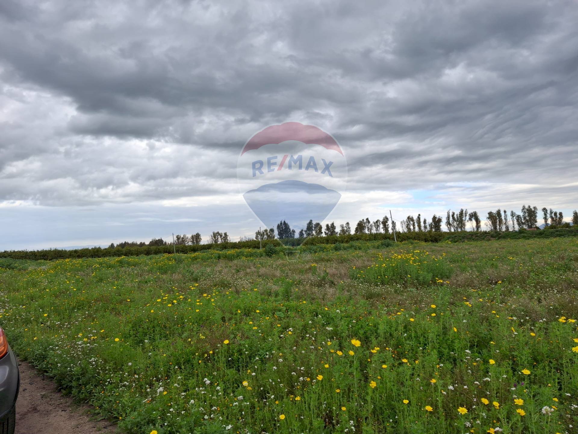Giardino - Agricultural land Strada statale 192 - Portiere Stella - Contrada Bagnara
 
5, Paterno - photo 2