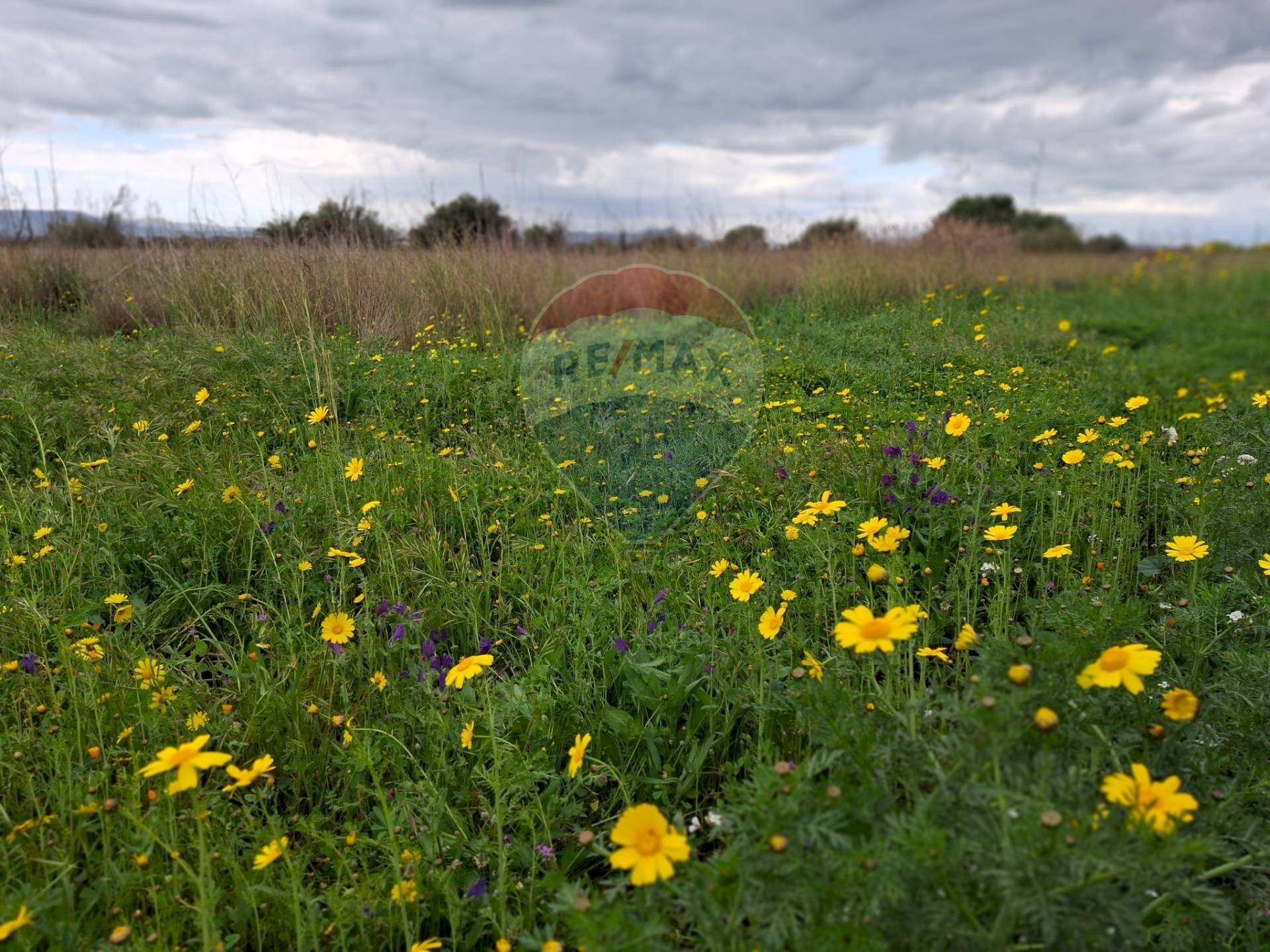 Giardino - Agricultural land Strada statale 192 - Portiere Stella - Contrada Bagnara
 
5, Paterno - photo 3
