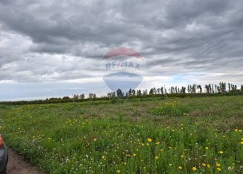 Giardino - Terreno agricolo Strada statale 192 - Portiere Stella - Contrada Bagnara
5, Paterno - foto 2