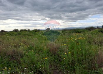 Vista delle montagne - Terreno agricolo Strada statale 192 - Portiere Stella - Contrada Bagnara
5, Paterno - foto 5