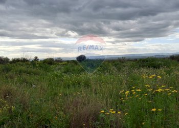 Vista delle montagne - Terreno agricolo Strada statale 192 - Portiere Stella - Contrada Bagnara
5, Paterno - foto 8