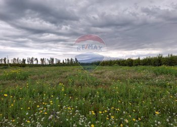 Giardino - Terreno agricolo Strada statale 192 - Portiere Stella - Contrada Bagnara
5, Paterno - foto 10