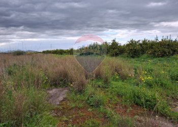 Giardino - Terreno agricolo Strada statale 192 - Portiere Stella - Contrada Bagnara
5, Paterno - foto 14