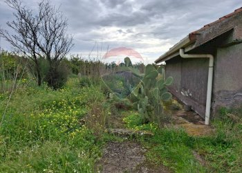 Giardino - Terreno agricolo Strada statale 192 - Portiere Stella - Contrada Bagnara
5, Paterno - foto 15