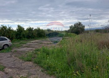 Giardino - Terreno agricolo Strada statale 192 - Portiere Stella - Contrada Bagnara
5, Paterno - foto 21