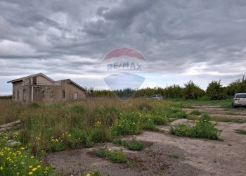 Giardino - Terreno agricolo Strada statale 192 - Portiere Stella - Contrada Bagnara
5, Paterno - foto 29