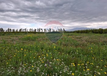 Giardino - Terreno agricolo Strada statale 192 - Portiere Stella - Contrada Bagnara
5, Paterno - foto 30
