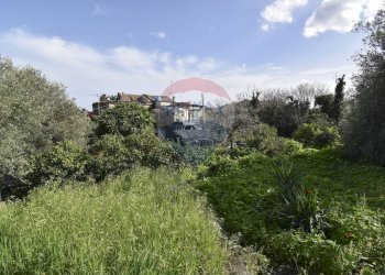 Giardino - Casa indipendente Via Nazionale
 
395, Acireale - foto 10