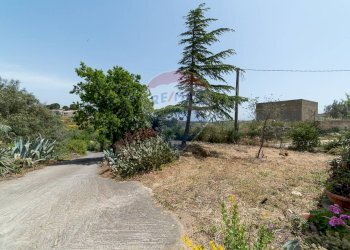 Giardino - Rustico contrada san Mauro, Caltagirone - foto 34