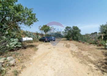 Giardino - Rustico contrada san Mauro, Caltagirone - foto 36