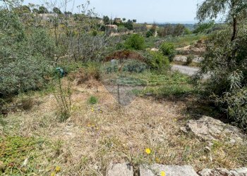 Giardino - Rustico contrada san Mauro, Caltagirone - foto 37