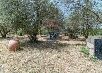 Giardino - Rustico contrada san Mauro, Caltagirone - foto 52