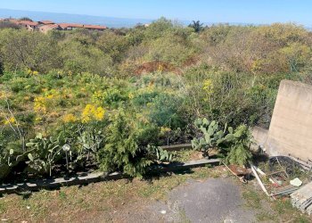 Giardino - Villa a Schiera Via Calatafimi, Belpasso - foto 14