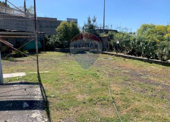 Giardino - Villa a Schiera Via Calatafimi, Belpasso - foto 33