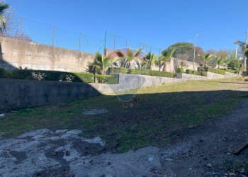 Giardino - Villa a Schiera Via Calatafimi, Belpasso - foto 21