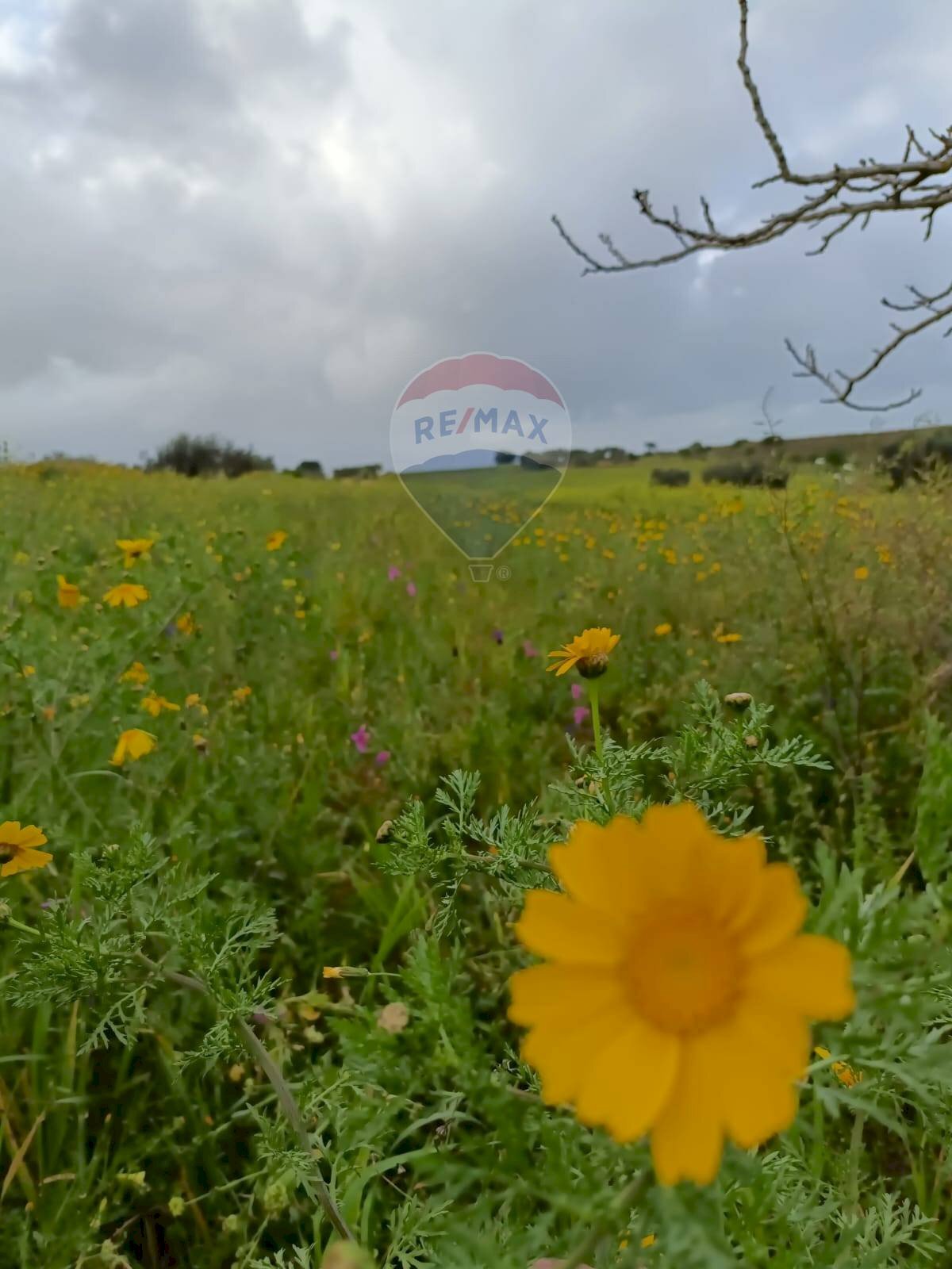 Giardino - Terreno agricolo cda Piano Stella
 
sn, Caltagirone - foto 2
