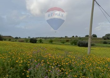 Giardino - Terreno agricolo cda Piano Stella
 
sn, Caltagirone - foto 5