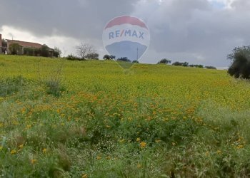 Giardino - Terreno agricolo cda Piano Stella
 
sn, Caltagirone - foto 6