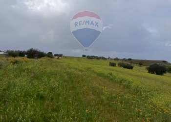 Giardino - Terreno agricolo cda Piano Stella
 
sn, Caltagirone - foto 7