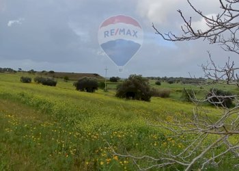Giardino - Terreno agricolo cda Piano Stella
 
sn, Caltagirone - foto 8