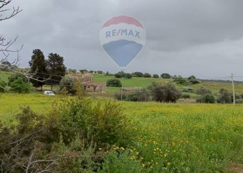 Giardino - Terreno agricolo cda Piano Stella
 
sn, Caltagirone - foto 9