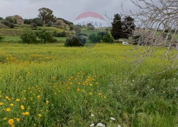 Giardino - Terreno agricolo cda Piano Stella
 
sn, Caltagirone - foto 13
