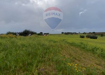 Giardino - Terreno agricolo cda Piano Stella
 
sn, Caltagirone - foto 14