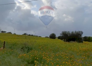 Giardino - Terreno agricolo cda Piano Stella
 
sn, Caltagirone - foto 15