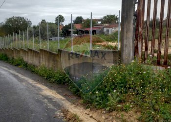 Giardino - Agricultural land Contrada San Demetrio Coda Di Volpe - Collina Primosole
 
snc, Catania - photo 6