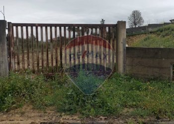 Giardino - Agricultural land Contrada San Demetrio Coda Di Volpe - Collina Primosole
 
snc, Catania - photo 7