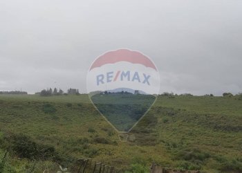 Vista delle montagne - Agricultural land Contrada San Demetrio Coda Di Volpe - Collina Primosole
 
snc, Catania - photo 13