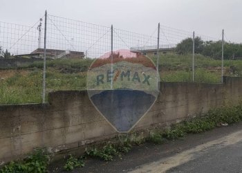 Giardino - Agricultural land Contrada San Demetrio Coda Di Volpe - Collina Primosole
 
snc, Catania - photo 15