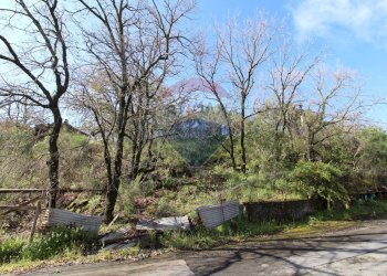 Giardino - Terreno edificabile Via Del Convento
 
snc, Nicolosi - foto 4