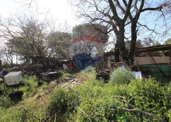 Giardino - Terreno edificabile Via Del Convento
 
snc, Nicolosi - foto 10