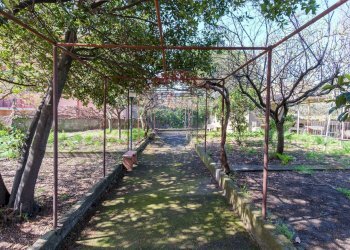 Giardino - Villa via la nunziatella
 
15, Mascalucia - foto 7