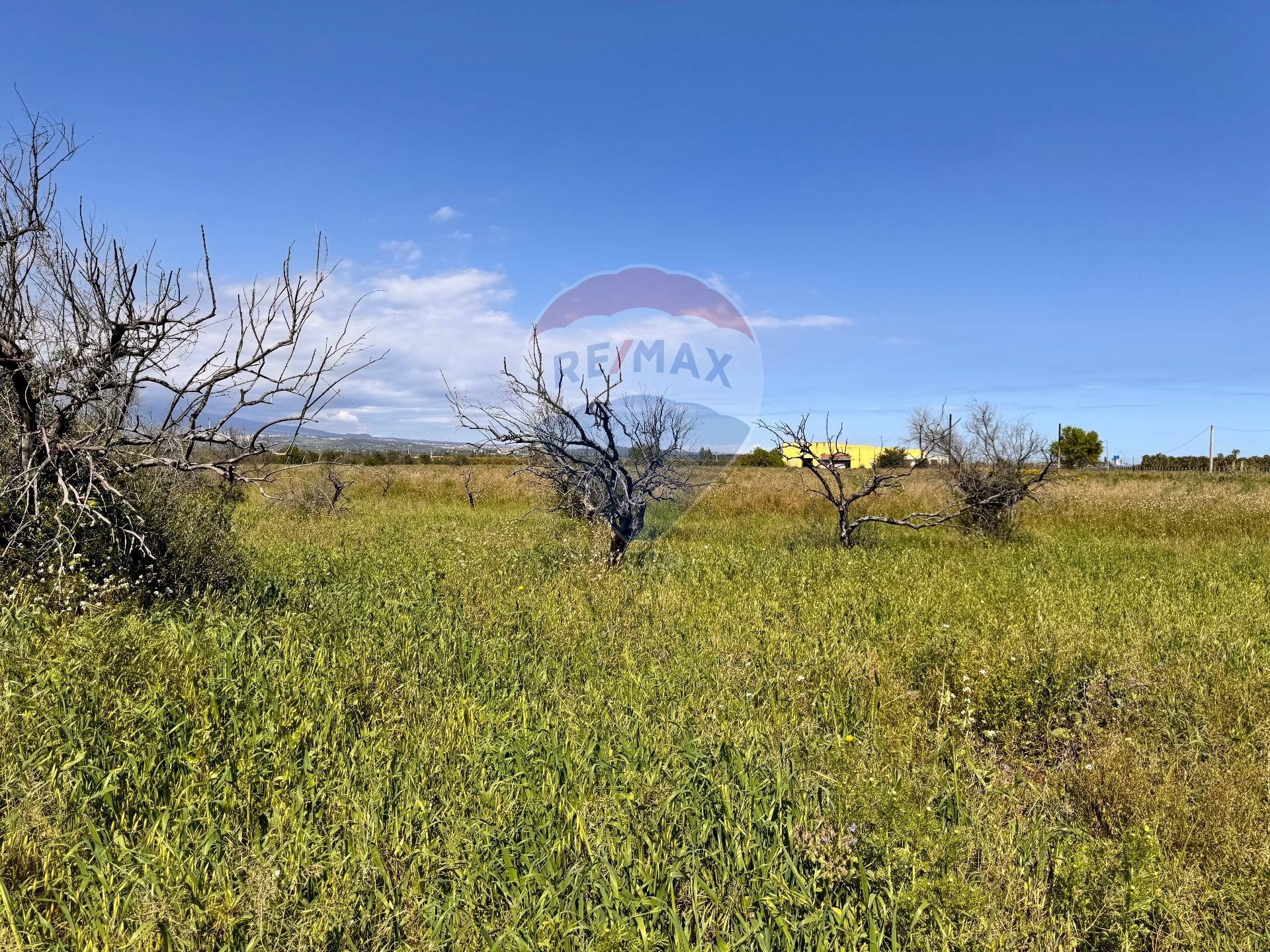 Giardino - Terreno agricolo Contrada Maddalena
 
snc, Belpasso - foto 2