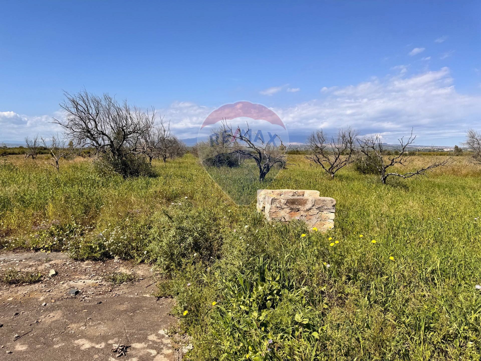 Giardino - Terreno agricolo Contrada Maddalena
 
snc, Belpasso - foto 3