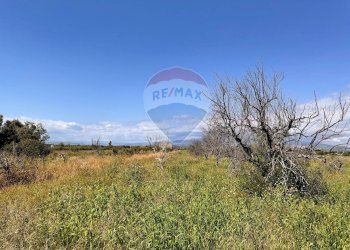 Vista delle montagne - Terreno agricolo Contrada Maddalena
 
snc, Belpasso - foto 1